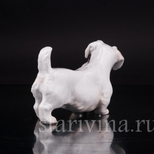 Селихем терьер, Bing & Grondahl, Дания