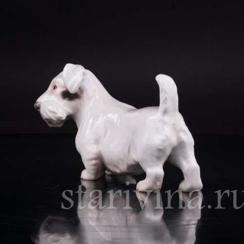 Селихем терьер, Bing & Grondahl, Дания