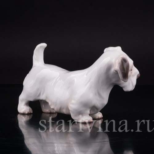 Селихем терьер, Bing & Grondahl, Дания