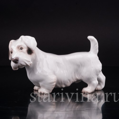 Селихем терьер, Bing & Grondahl, Дания