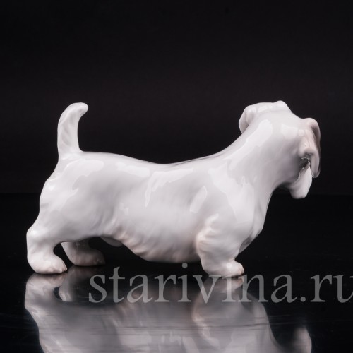 Селихем терьер, Bing & Grondahl, Дания