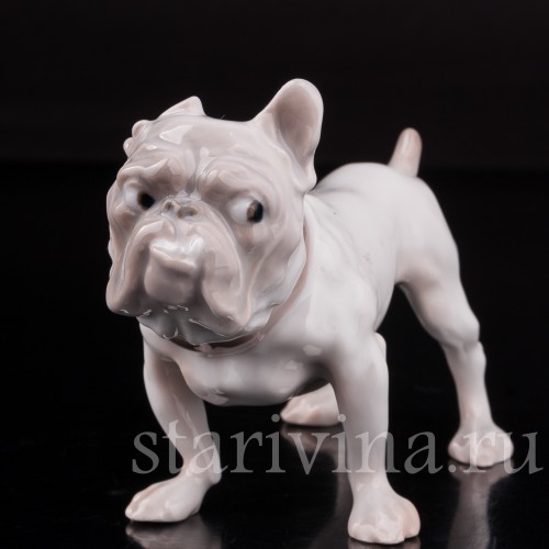 Фигурка собаки из фарфора Английский бульдог, "Забияка", Bing & Grondahl, Дания, 1950 гг.