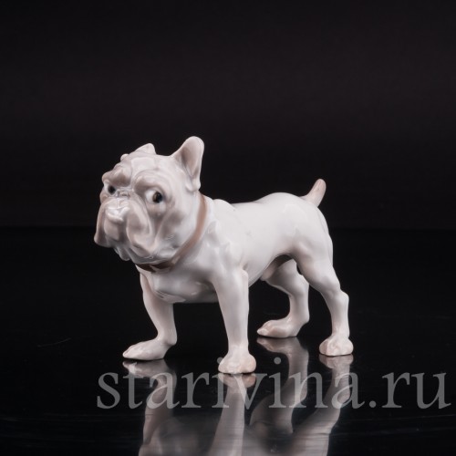 Фигурка собаки из фарфора Английский бульдог, "Забияка", Bing & Grondahl, Дания, 1950 гг.