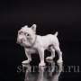 Фигурка собаки из фарфора Английский бульдог, "Забияка", Bing & Grondahl, Дания, 1950 гг.