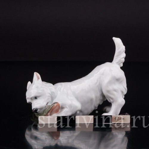Фигурка собаки из фарфора Вест-хайлед-уайт терьер с ботинком, Royal Copenhagen, Дания.