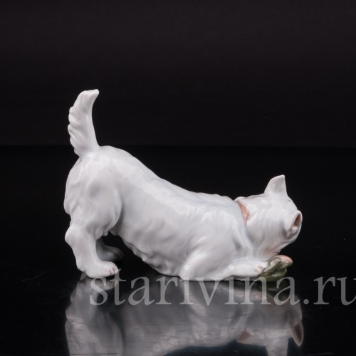 Фигурка собаки из фарфора Вест-хайлед-уайт терьер с ботинком, Royal Copenhagen, Дания.