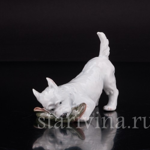 Фигурка собаки из фарфора Вест-хайлед-уайт терьер с ботинком, Royal Copenhagen, Дания.