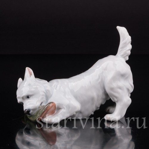 Фигурка собаки из фарфора Вест-хайлед-уайт терьер с ботинком, Royal Copenhagen, Дания.