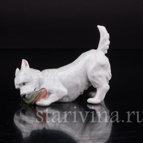 Фигурка собаки из фарфора Вест-хайлед-уайт терьер с ботинком, Royal Copenhagen, Дания.