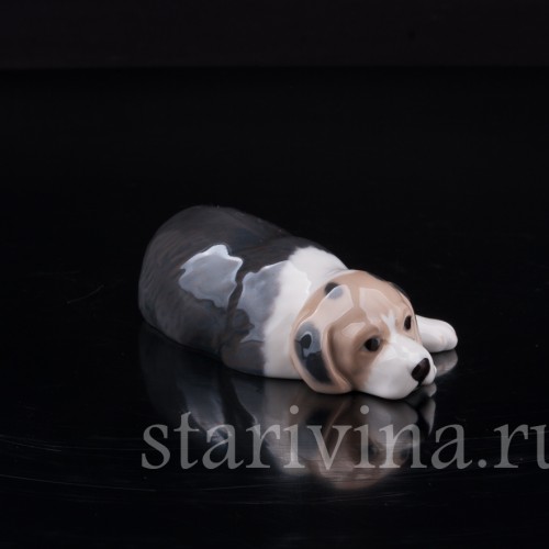 Лежащий щенок бигля, Royal Copenhagen, Дания