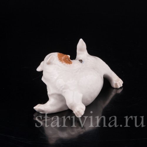 Статуэтка собаки из фарфора Щенок Селихем терьера, выкусывающий блох, Royal Copenhagen, Дания, 1963 год.