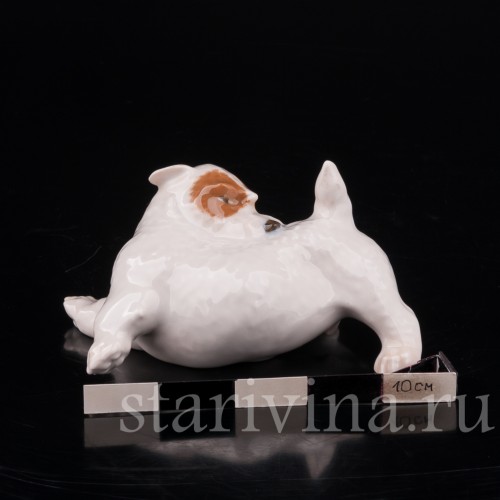 Статуэтка собаки из фарфора Щенок Селихем терьера, выкусывающий блох, Royal Copenhagen, Дания, 1963 год.