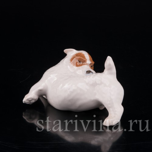 Статуэтка собаки из фарфора Щенок Селихем терьера, выкусывающий блох, Royal Copenhagen, Дания, 1963 год.