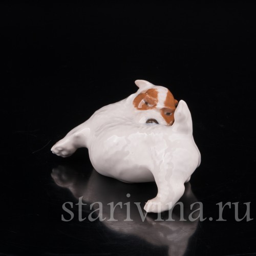 Статуэтка собаки из фарфора Щенок Селихем терьера, выкусывающий блох, Royal Copenhagen, Дания, 1963 год.