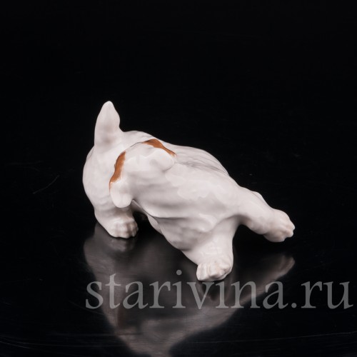 Статуэтка собаки из фарфора Щенок Селихем терьера, выкусывающий блох, Royal Copenhagen, Дания, 1963 год.