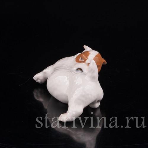 Статуэтка собаки из фарфора Щенок Селихем терьера, выкусывающий блох, Royal Copenhagen, Дания, 1963 год.