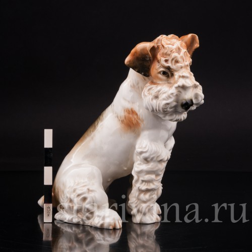Статуэтка собаки из фарфора Терьер, Karl Ens, Германия, 1920-30 гг.