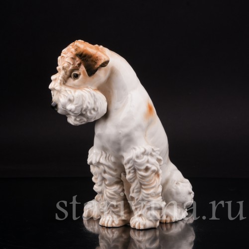 Статуэтка собаки из фарфора Терьер, Karl Ens, Германия, 1920-30 гг.