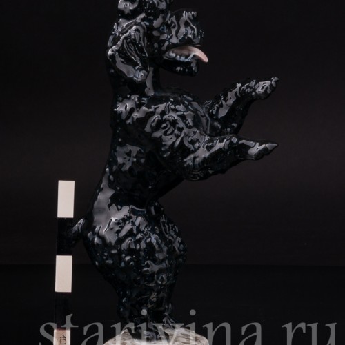 Статуэтка собаки из фарфора Чёрный пудель, стоящий на задних лапах, Rosenthal, Германия, 1950-60 гг.