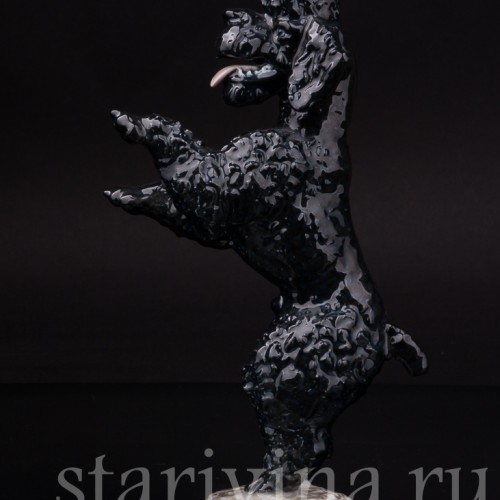 Статуэтка собаки из фарфора Чёрный пудель, стоящий на задних лапах, Rosenthal, Германия, 1950-60 гг.