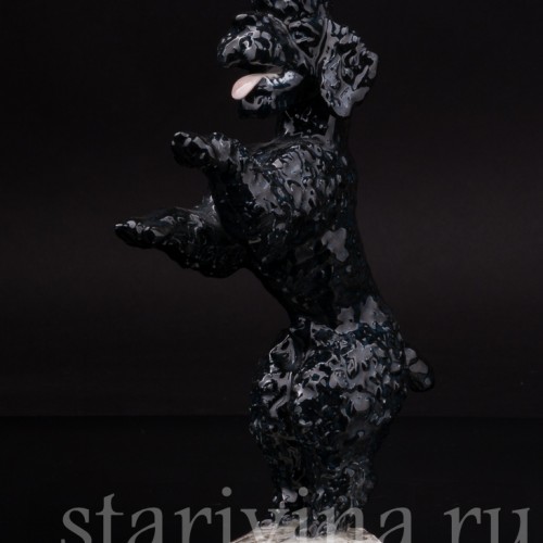 Статуэтка собаки из фарфора Чёрный пудель, стоящий на задних лапах, Rosenthal, Германия, 1950-60 гг.