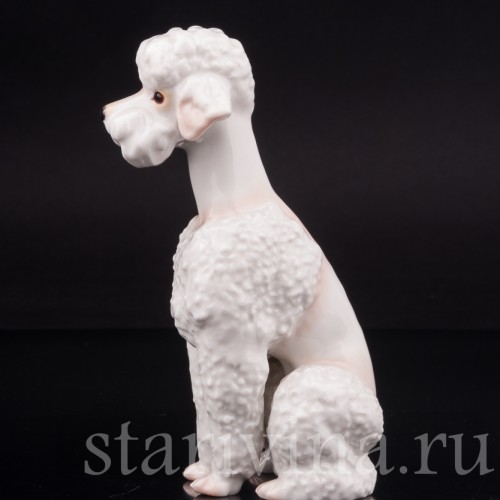 Фарфоровая статуэтка собаки Белый пудель, Hutschenreuther, Германия, 1970 гг.