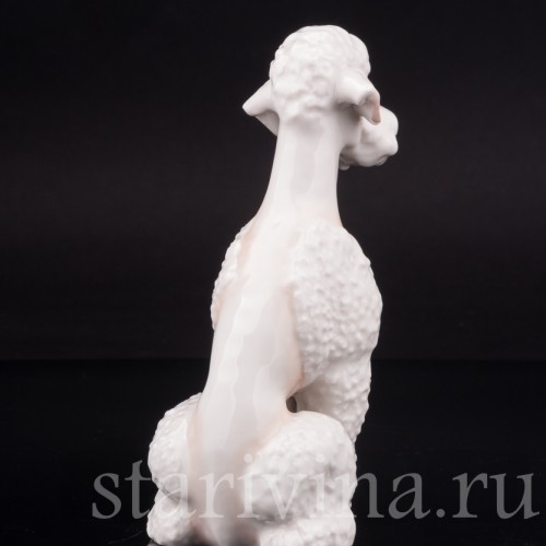 Фарфоровая статуэтка собаки Белый пудель, Hutschenreuther, Германия, 1970 гг.