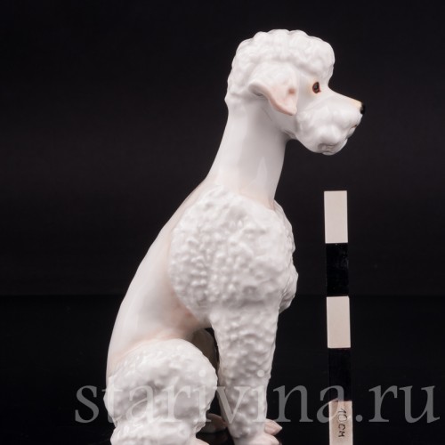 Фарфоровая статуэтка собаки Белый пудель, Hutschenreuther, Германия, 1970 гг.