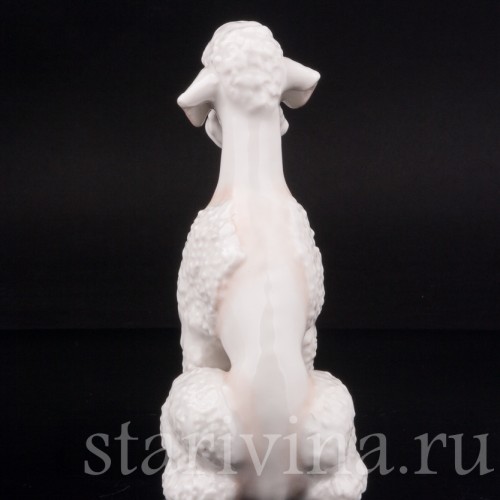 Фарфоровая статуэтка собаки Белый пудель, Hutschenreuther, Германия, 1970 гг.