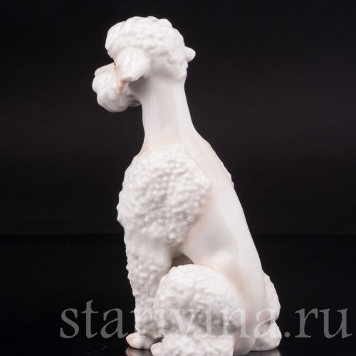 Фарфоровая статуэтка собаки Белый пудель, Hutschenreuther, Германия, 1970 гг.