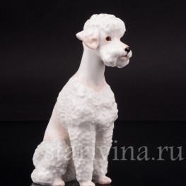 Фарфоровая статуэтка собаки Белый пудель, Hutschenreuther, Германия, 1970 гг.