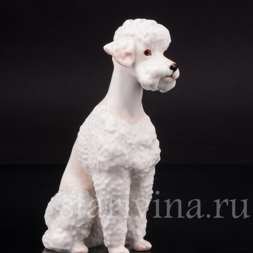 Фарфоровая статуэтка собаки Белый пудель, Hutschenreuther, Германия, 1970 гг.