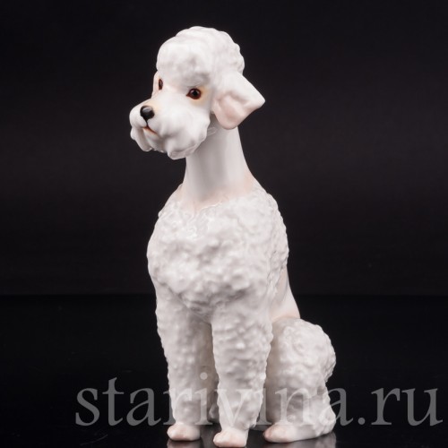 Фарфоровая статуэтка собаки Белый пудель, Hutschenreuther, Германия, 1970 гг.