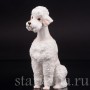 Фарфоровая статуэтка собаки Белый пудель, Hutschenreuther, Германия, 1970 гг.
