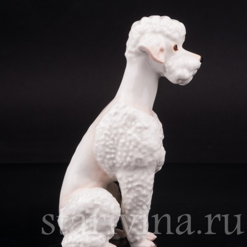Фарфоровая статуэтка собаки Белый пудель, Hutschenreuther, Германия, 1970 гг.
