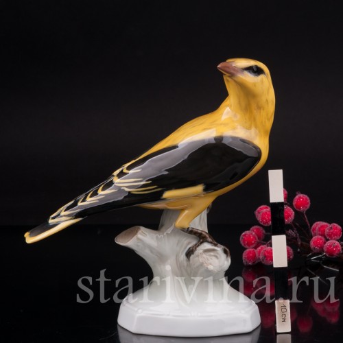 Фарфоровая статуэтка птицы Иволга, Rosenthal, Германия, 1950-60 гг.