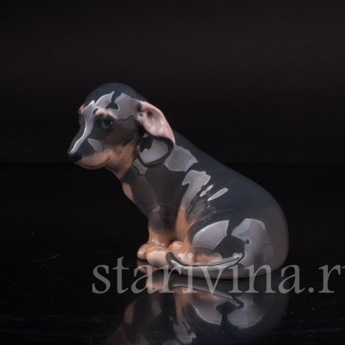 Фарфоровая статуэтка собаки Такса, Royal Copenhagen, Дания, 1957 г.