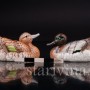 Фарфоровые статуэтки птиц Зеленокрылые чирки, Goebel, Германия, кон. 20 в.