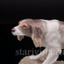 Статуэтка собаки из фарфора Сеттер, Nymphenburg, Германия, 1949-75 гг.