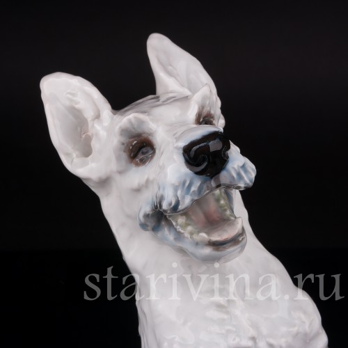 Статуэтка собаки из фарфора Скотч-терьер на задних лапах, Rosenthal, Германия, 1950 гг.