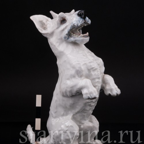 Статуэтка собаки из фарфора Скотч-терьер на задних лапах, Rosenthal, Германия, 1950 гг.