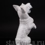 Статуэтка собаки из фарфора Скотч-терьер на задних лапах, Rosenthal, Германия, 1950 гг.