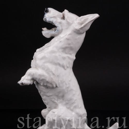 Статуэтка собаки из фарфора Скотч-терьер на задних лапах, Rosenthal, Германия, 1950 гг.