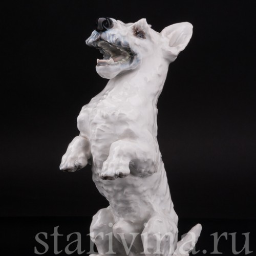 Статуэтка собаки из фарфора Скотч-терьер на задних лапах, Rosenthal, Германия, 1950 гг.