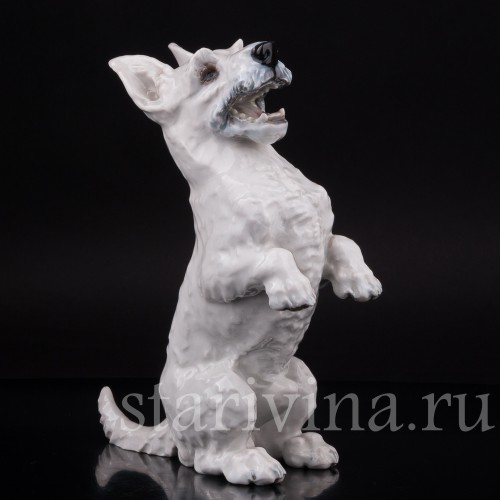 Статуэтка собаки из фарфора Скотч-терьер на задних лапах, Rosenthal, Германия, 1950 гг.