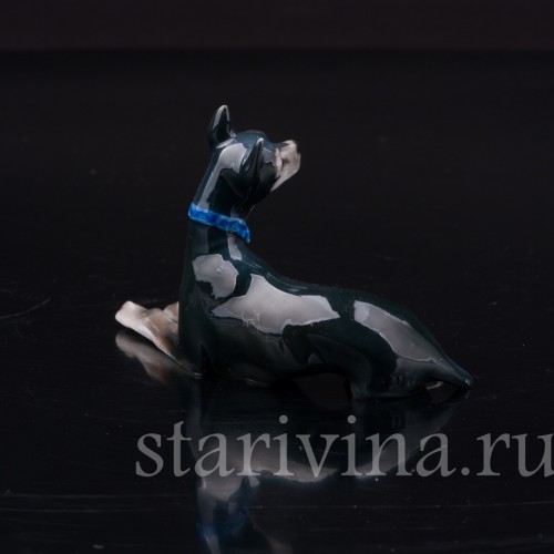 Фарфоровая статуэтка собаки Той-терьер, миниатюра, Rosenthal, Германия, 1940 гг.