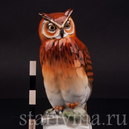 Фарфоровая статуэтка птицы Ушастая сова Hutschenreuther, Германия, 1970 гг.