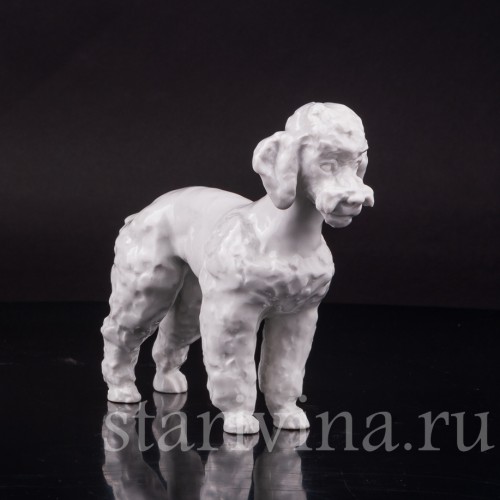 Фарфоровая статуэтка собки Пудель, Meissen, Германия, 1996 г.