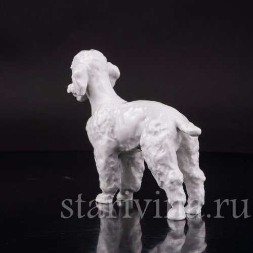 Фарфоровая статуэтка собки Пудель, Meissen, Германия, 1996 г.