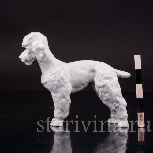 Фарфоровая статуэтка собки Пудель, Meissen, Германия, 1996 г.